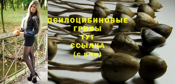 герыч Инта